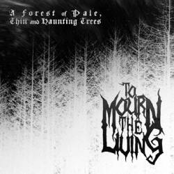 A Forest of Pale, Thin and Haunting Trees